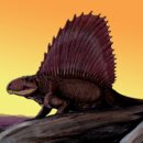Z którym z tych zwierząt najbliżej spokrewniony jest Dimetrodon (na zdjęciu)?