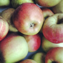 Największy producent jabłek na świecie to ...