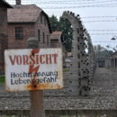 Jak nazywał się komendant obozu Auschwitz - Birkenau?